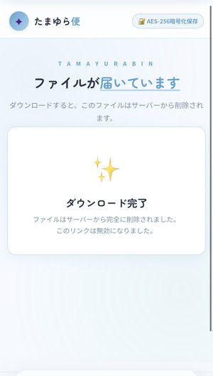 ダウンロード完了画面